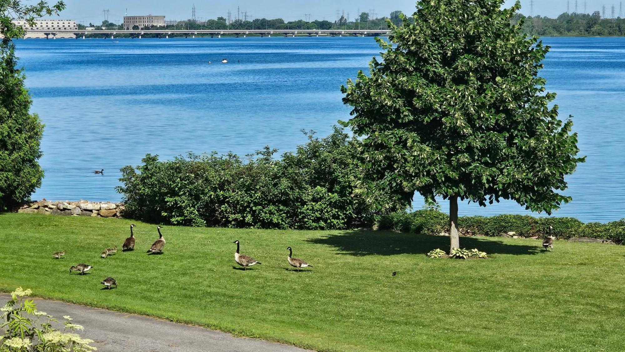 Hotel Oasis Lac St-Louis Salaberry-de-Valleyfield Exterior foto